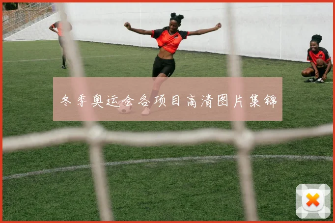 冬季奥运会各项目高清图片集锦